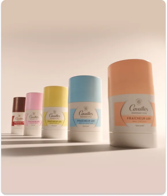 Cavaillès, our response